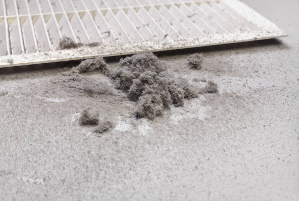 Best Ductwork Cleaning Services  in Gholson, TX